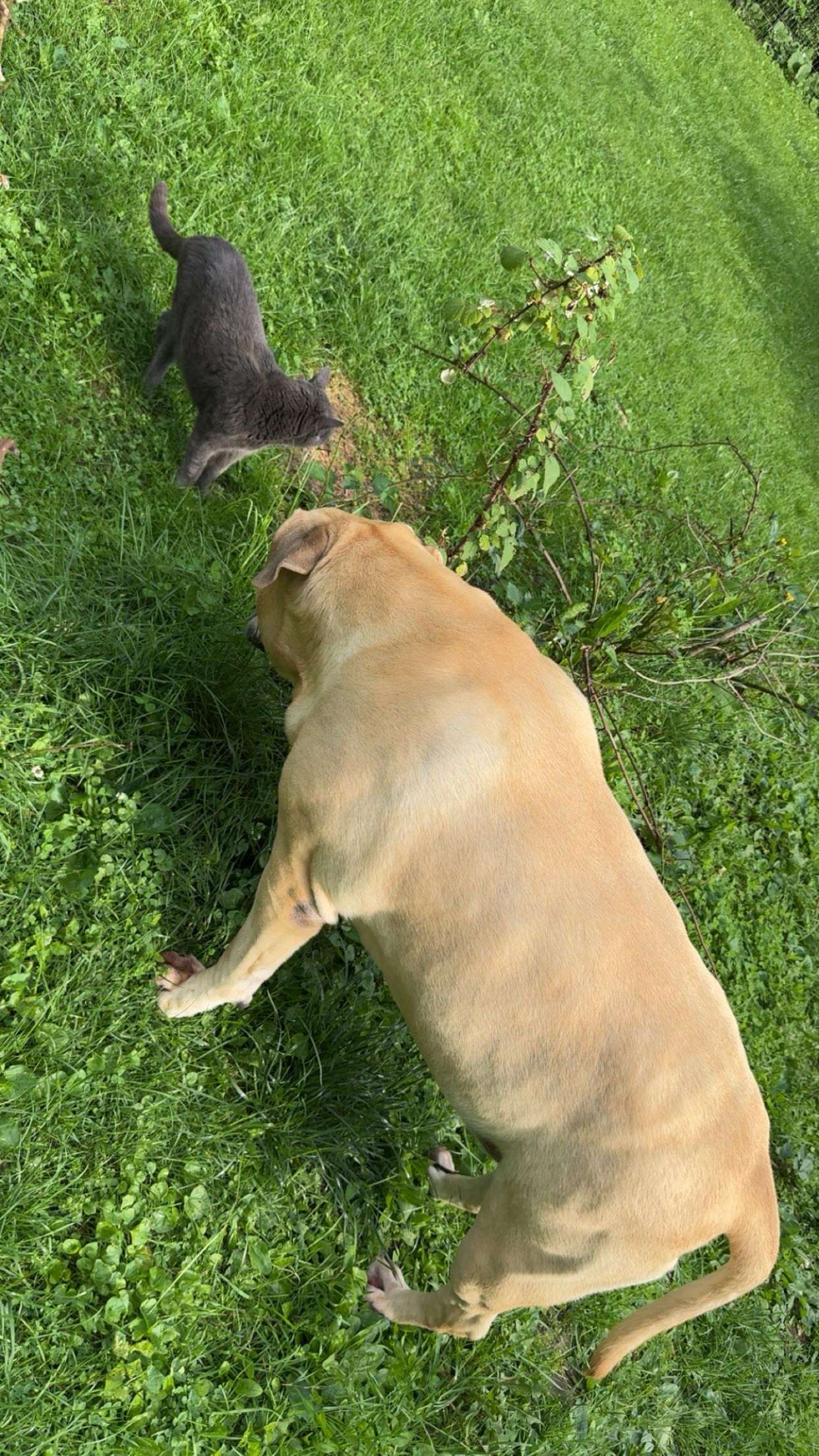 ameliabfit snapchat image archive image