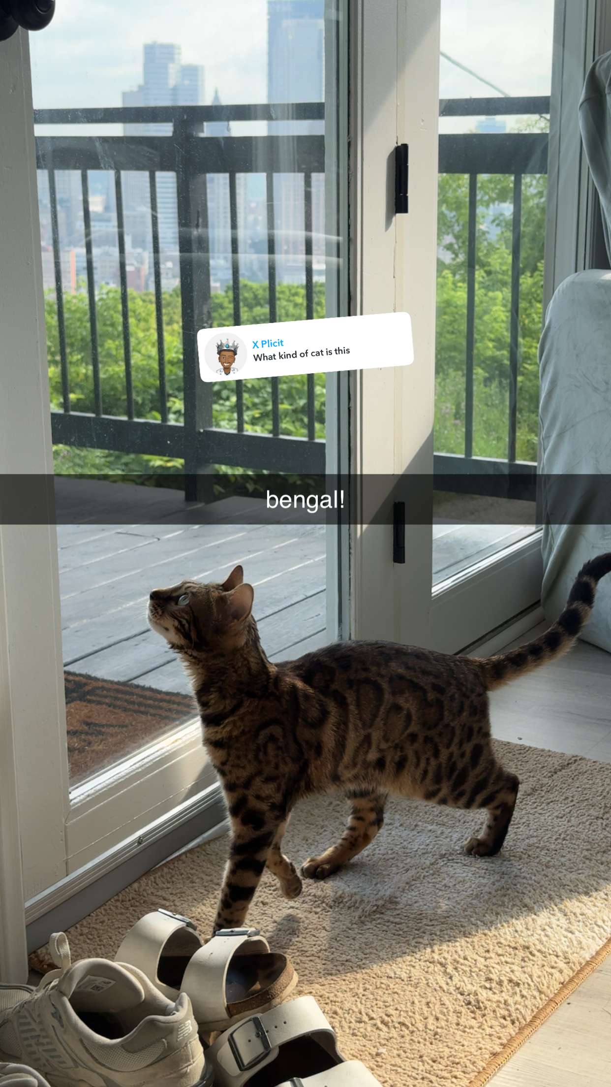 ameliabfit snapchat image archive image