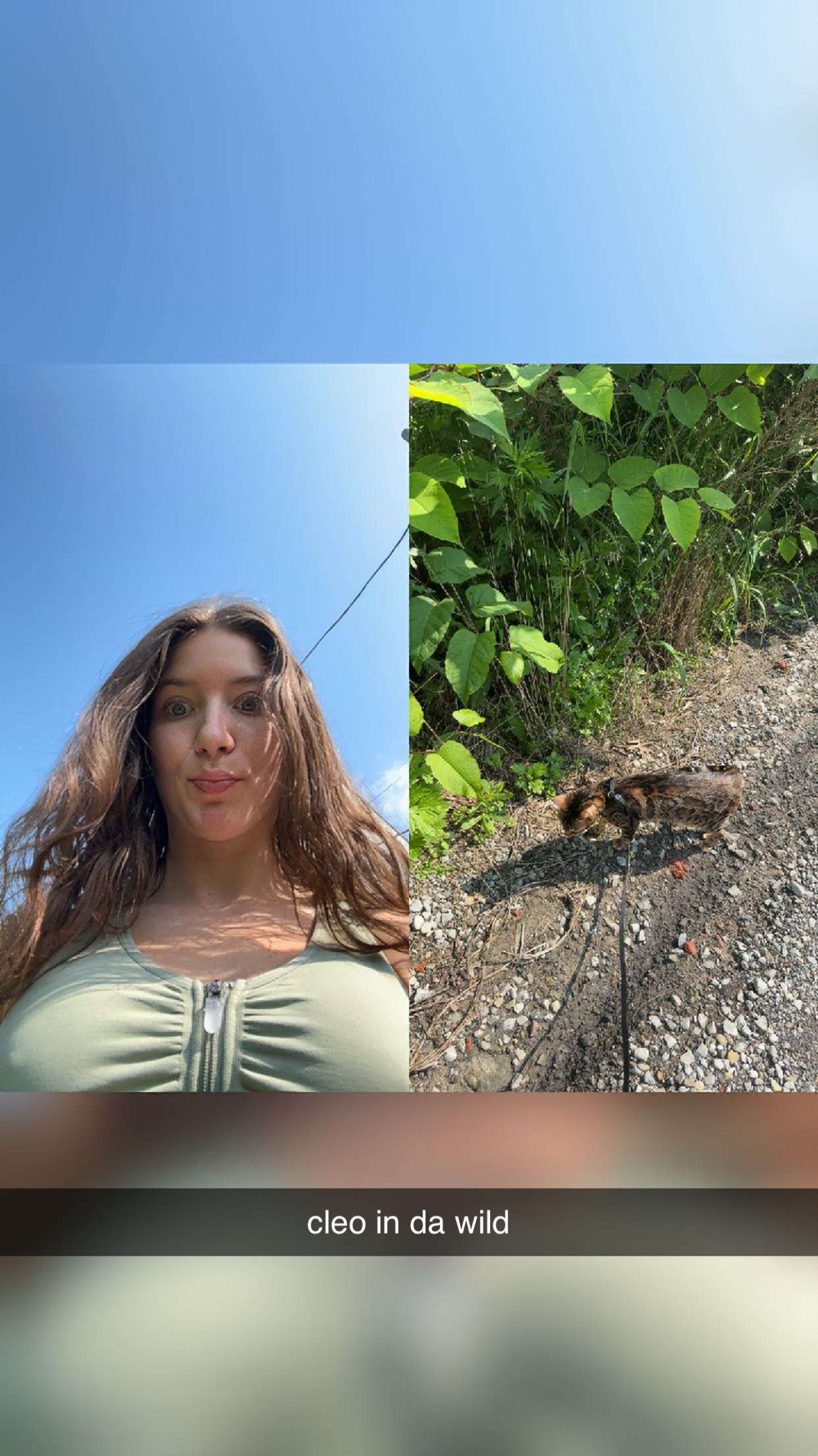 ameliabfit snapchat image archive image