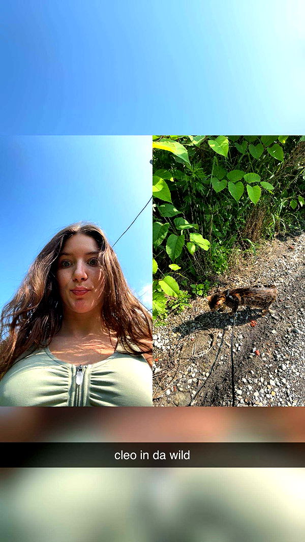 ameliabfit image ~ Altpins