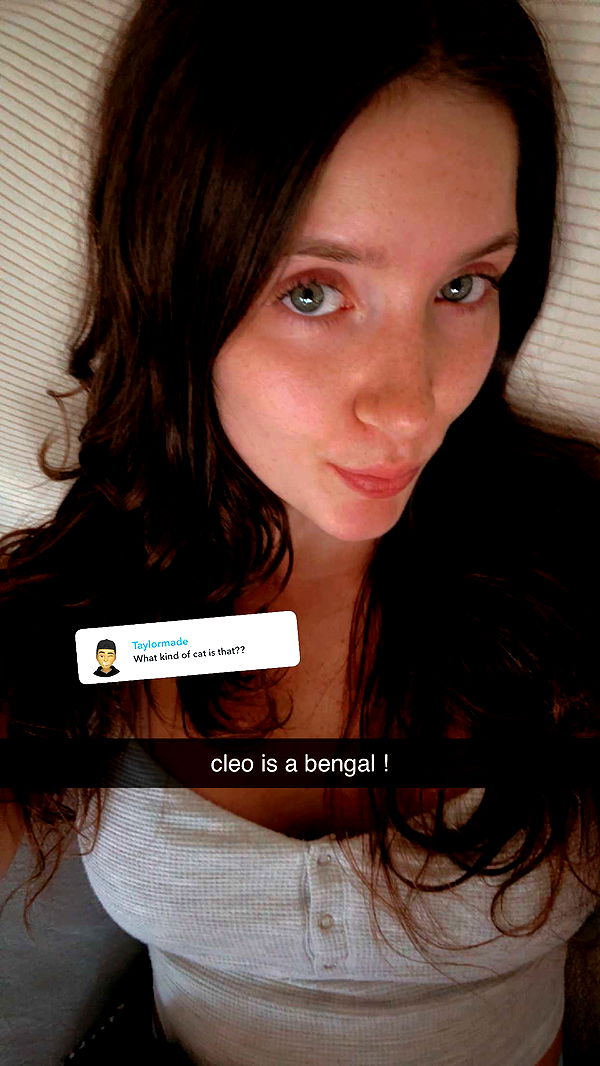 ameliabfit image ~ Altpins