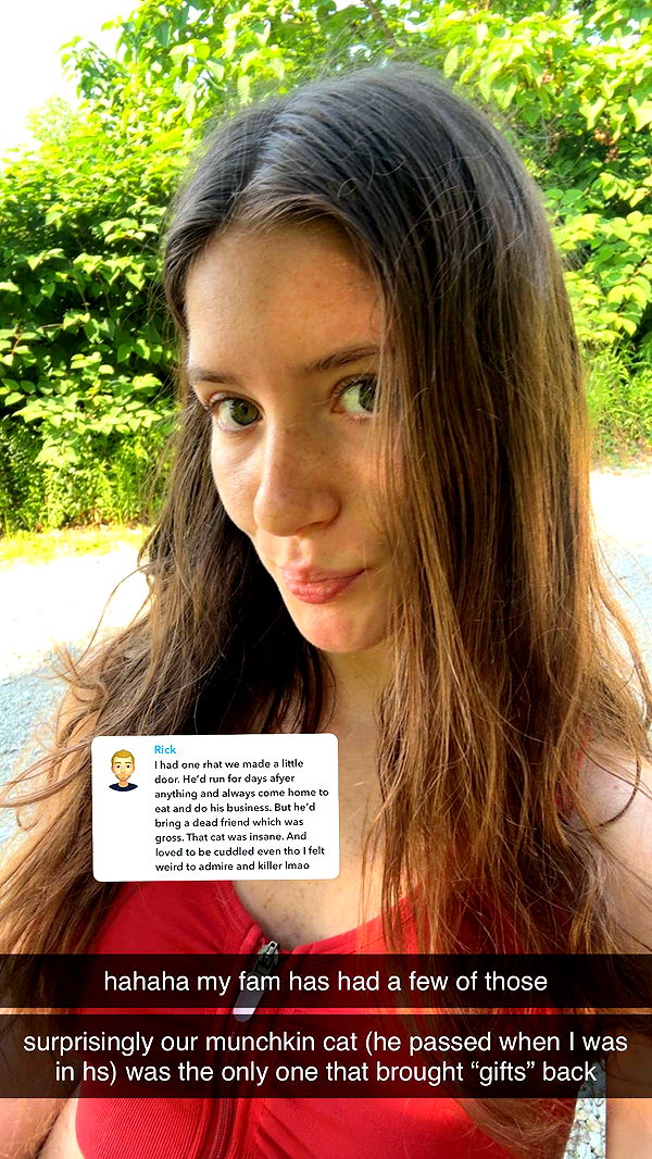 ameliabfit image ~ Altpins