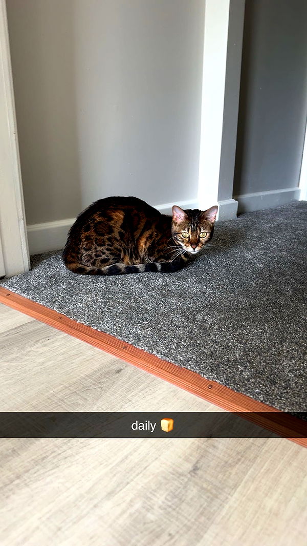 ameliabfit image ~ Altpins