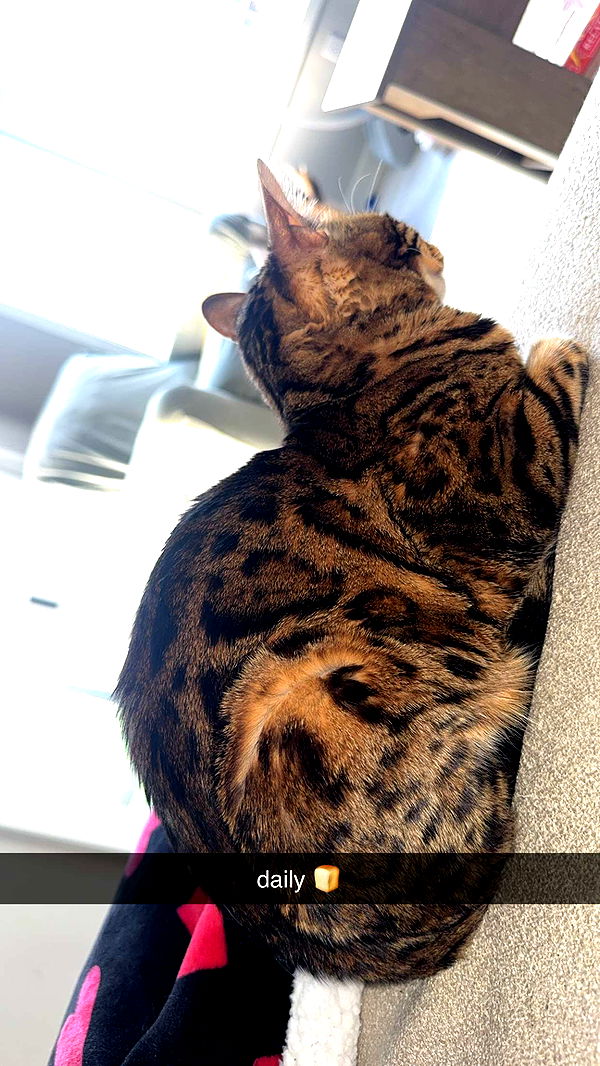 ameliabfit image ~ Altpins