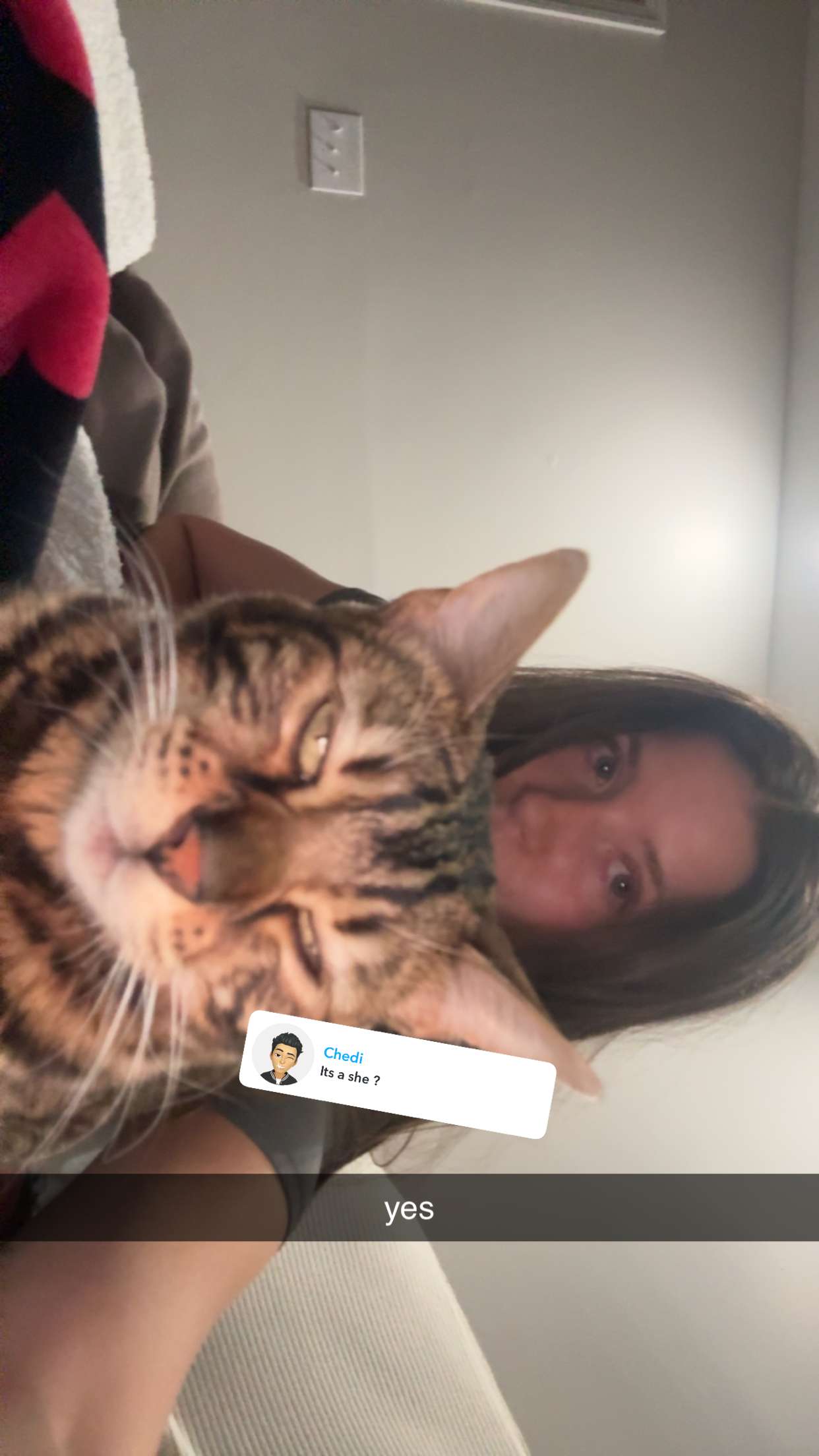 ameliabfit snapchat image archive image