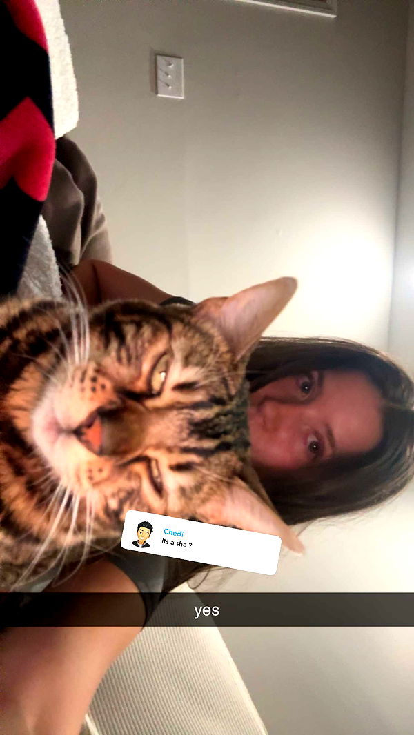 ameliabfit image ~ Altpins