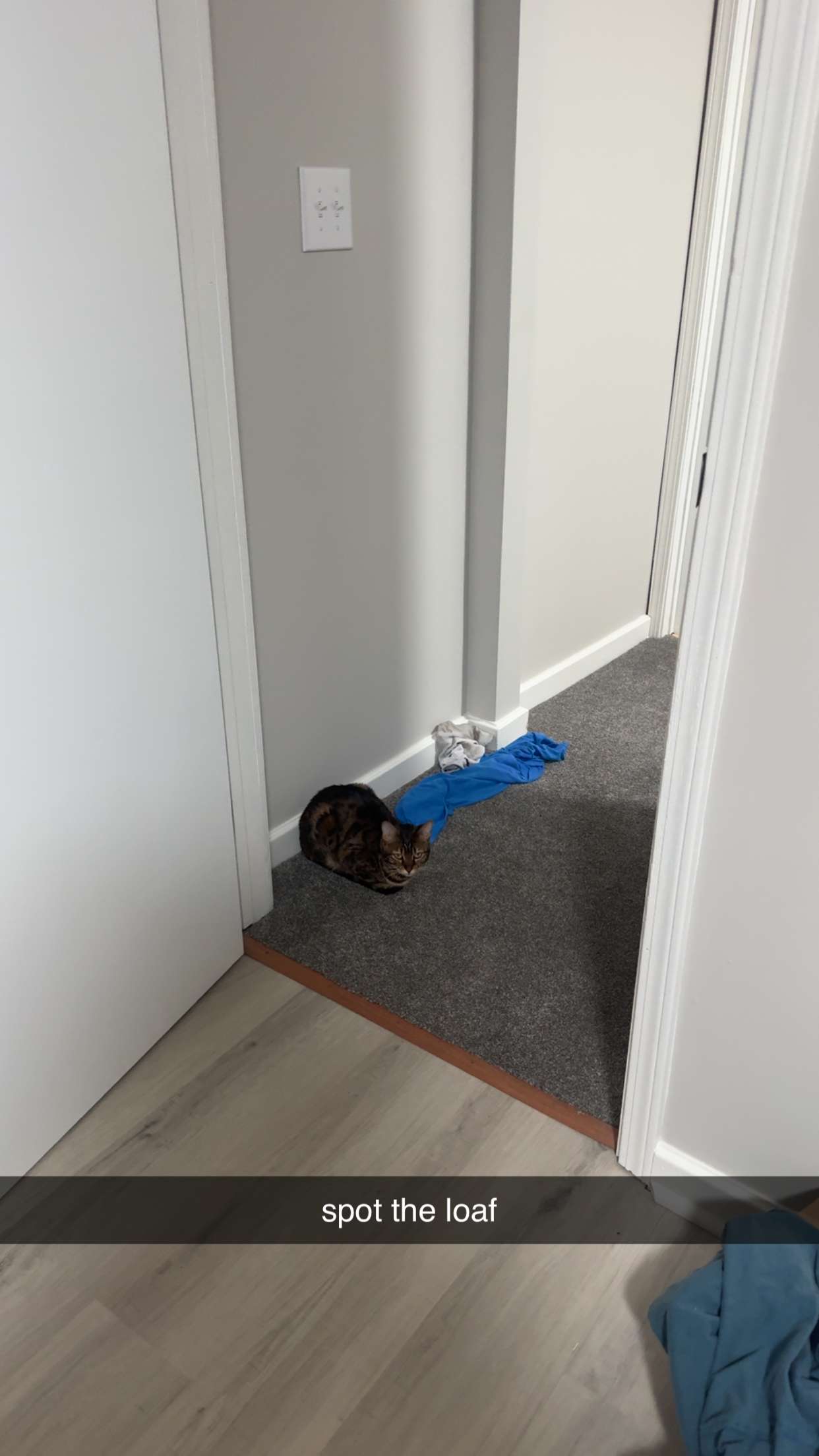 ameliabfit snapchat image archive image