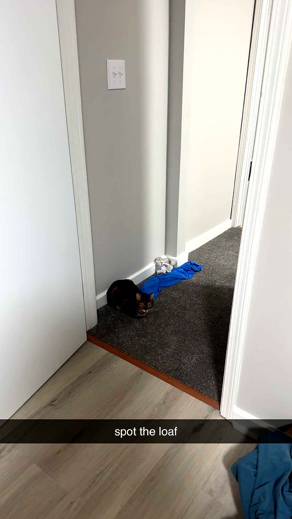 ameliabfit image ~ Altpins