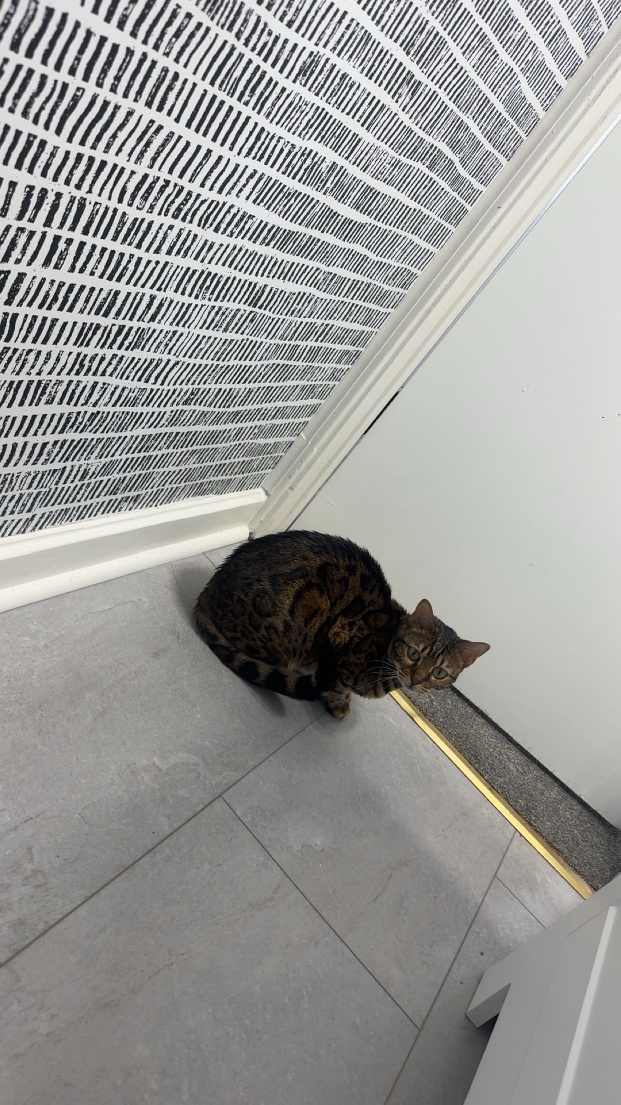 ameliabfit snapchat image archive image