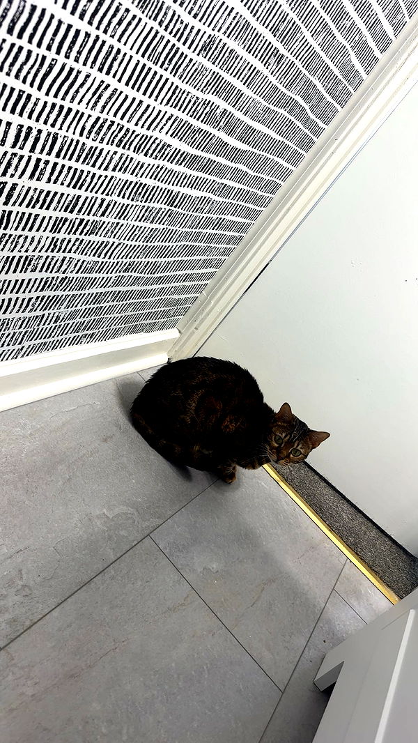 ameliabfit image ~ Altpins