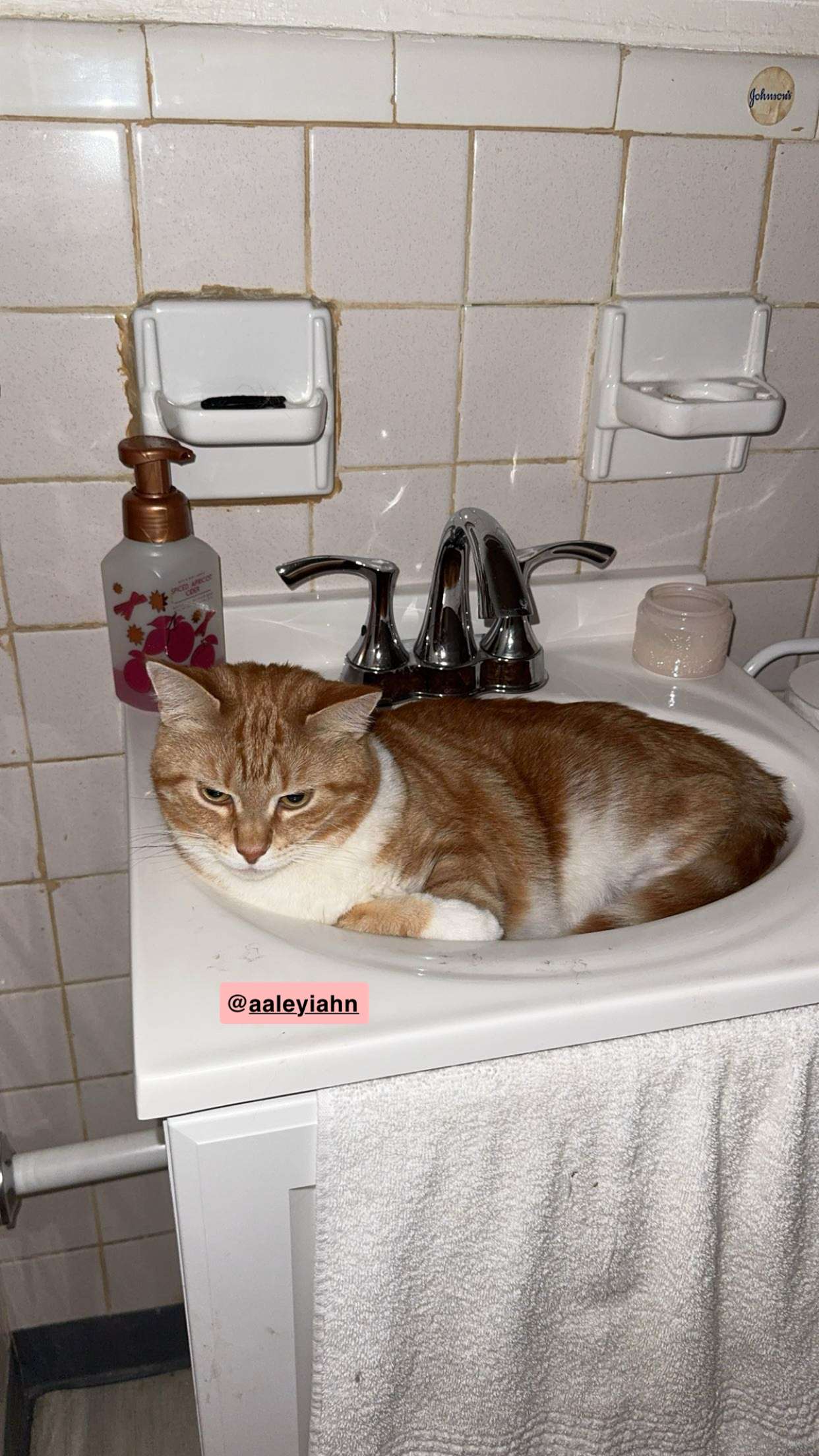 ameliabfit snapchat image archive image