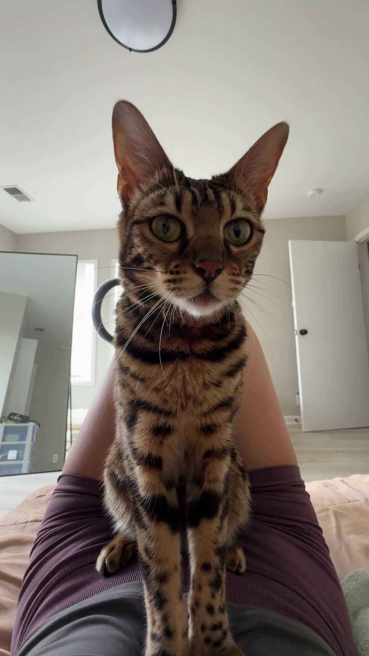 ameliabfit snapchat image archive image