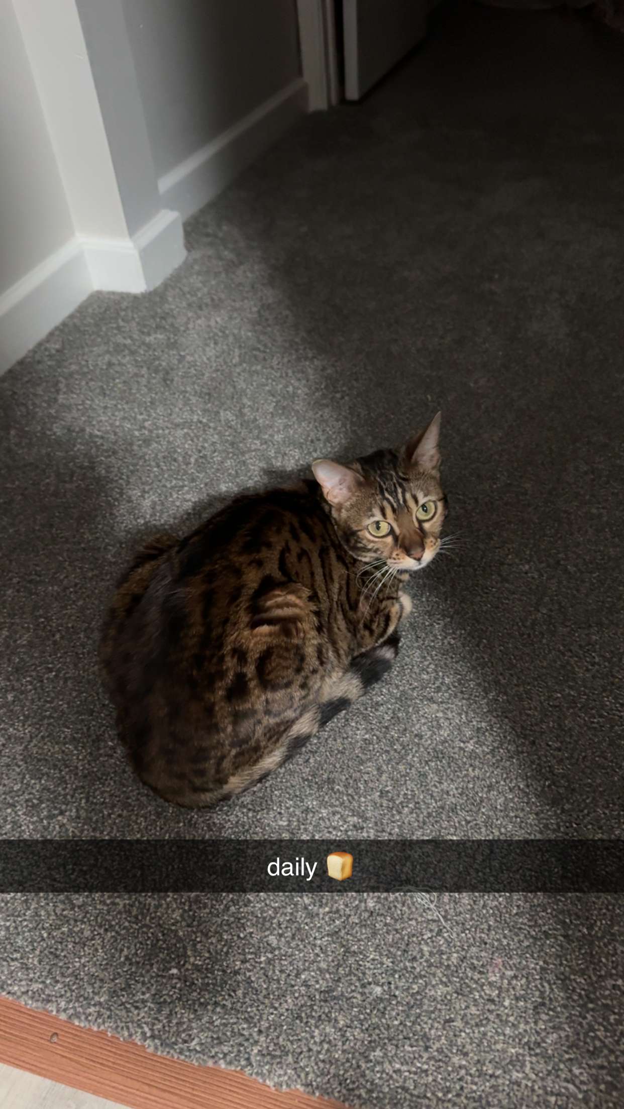 ameliabfit snapchat image archive image