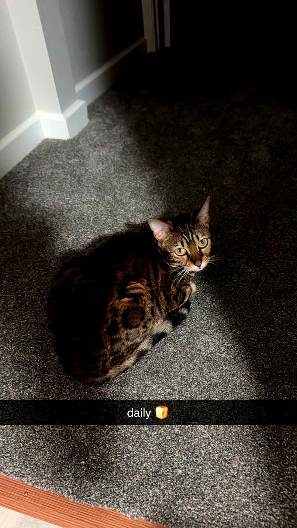 ameliabfit image ~ Altpins