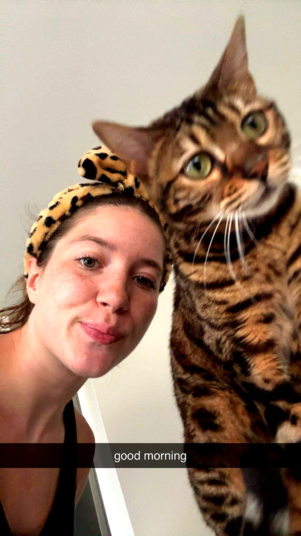 ameliabfit image ~ Altpins