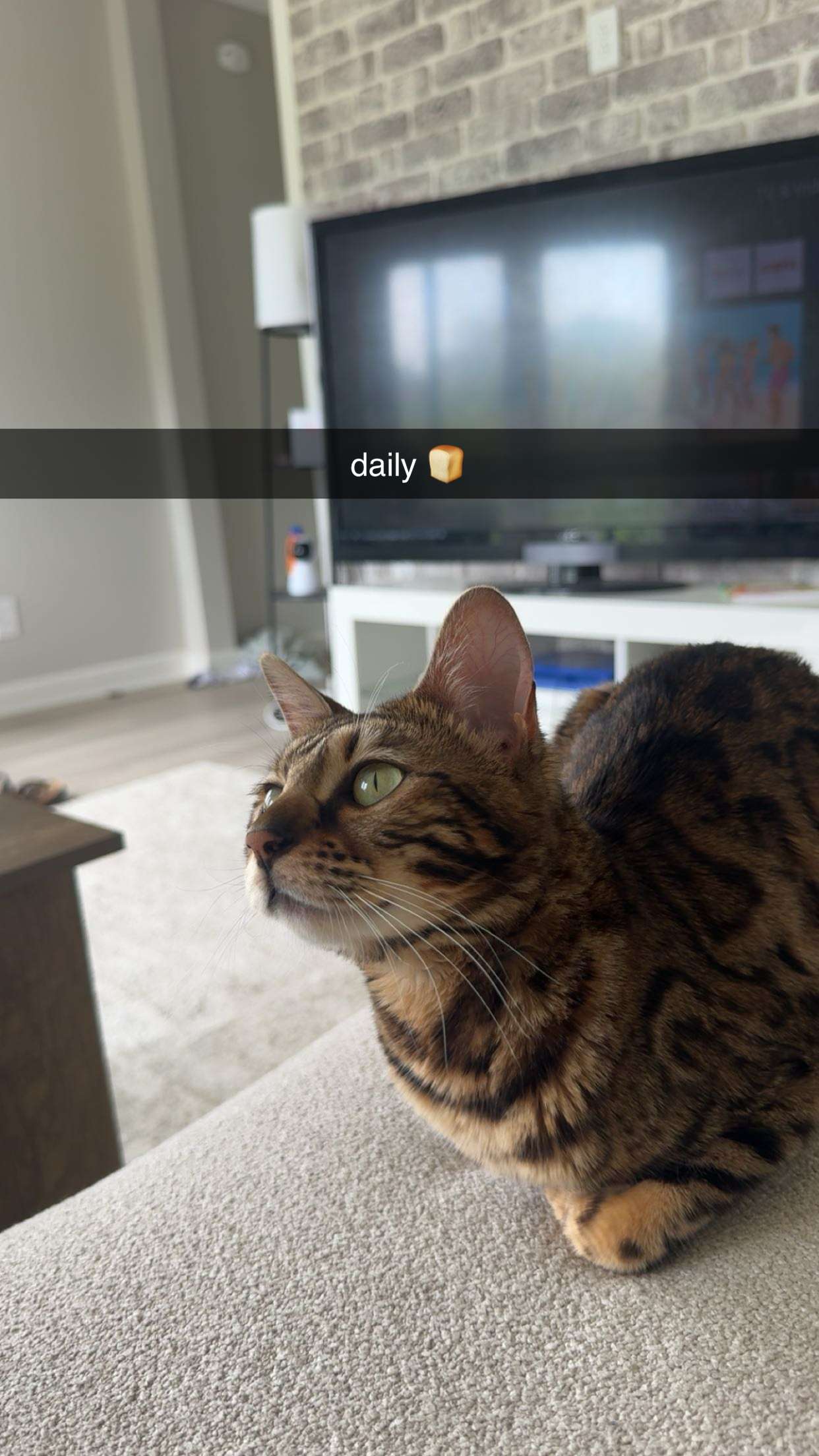 ameliabfit snapchat image archive image