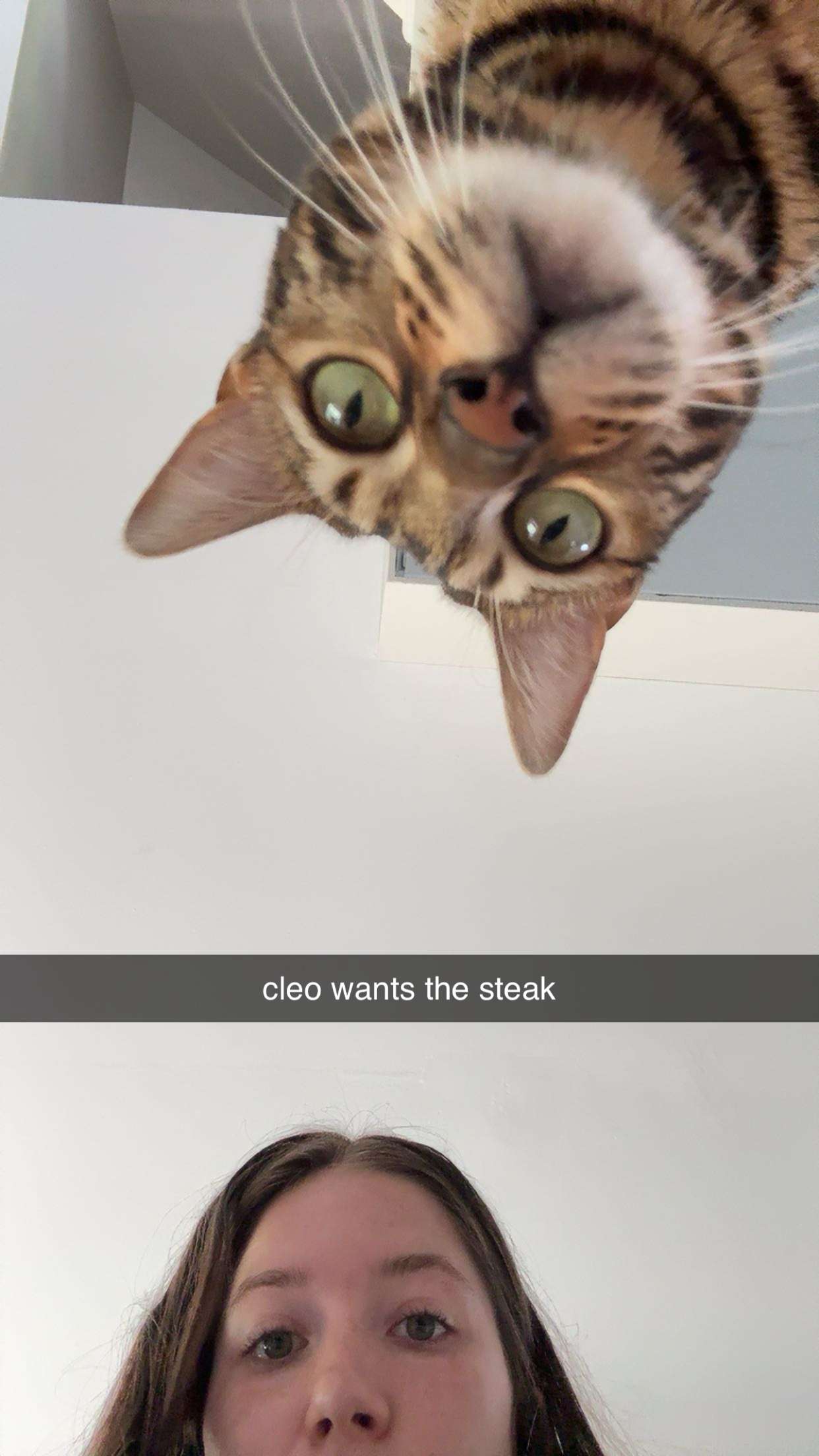 ameliabfit snapchat image archive image