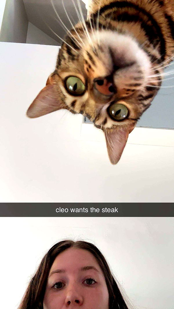 ameliabfit image ~ Altpins