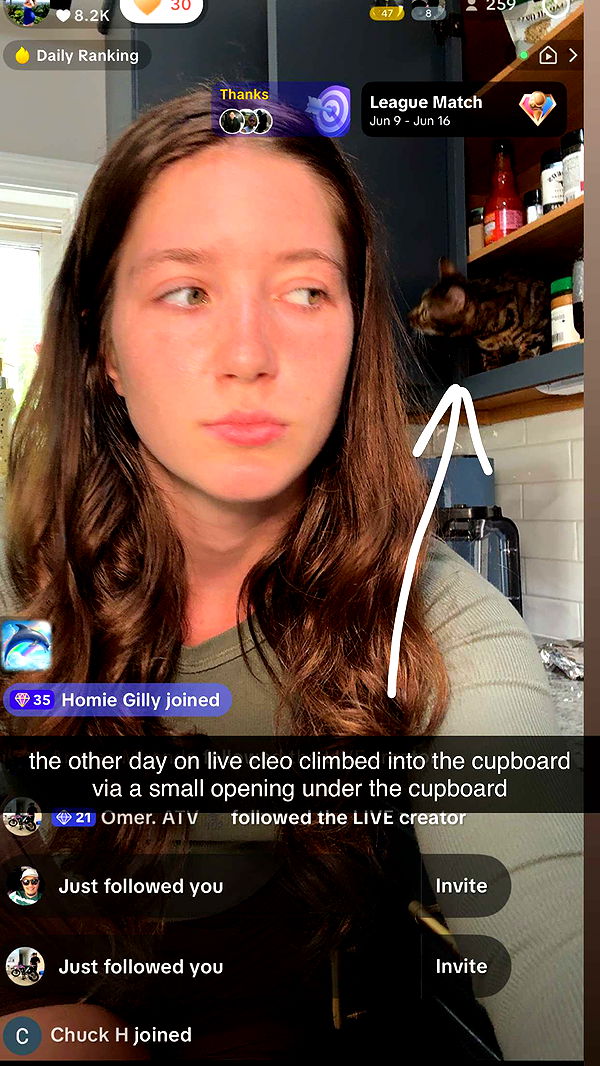 ameliabfit image ~ Altpins