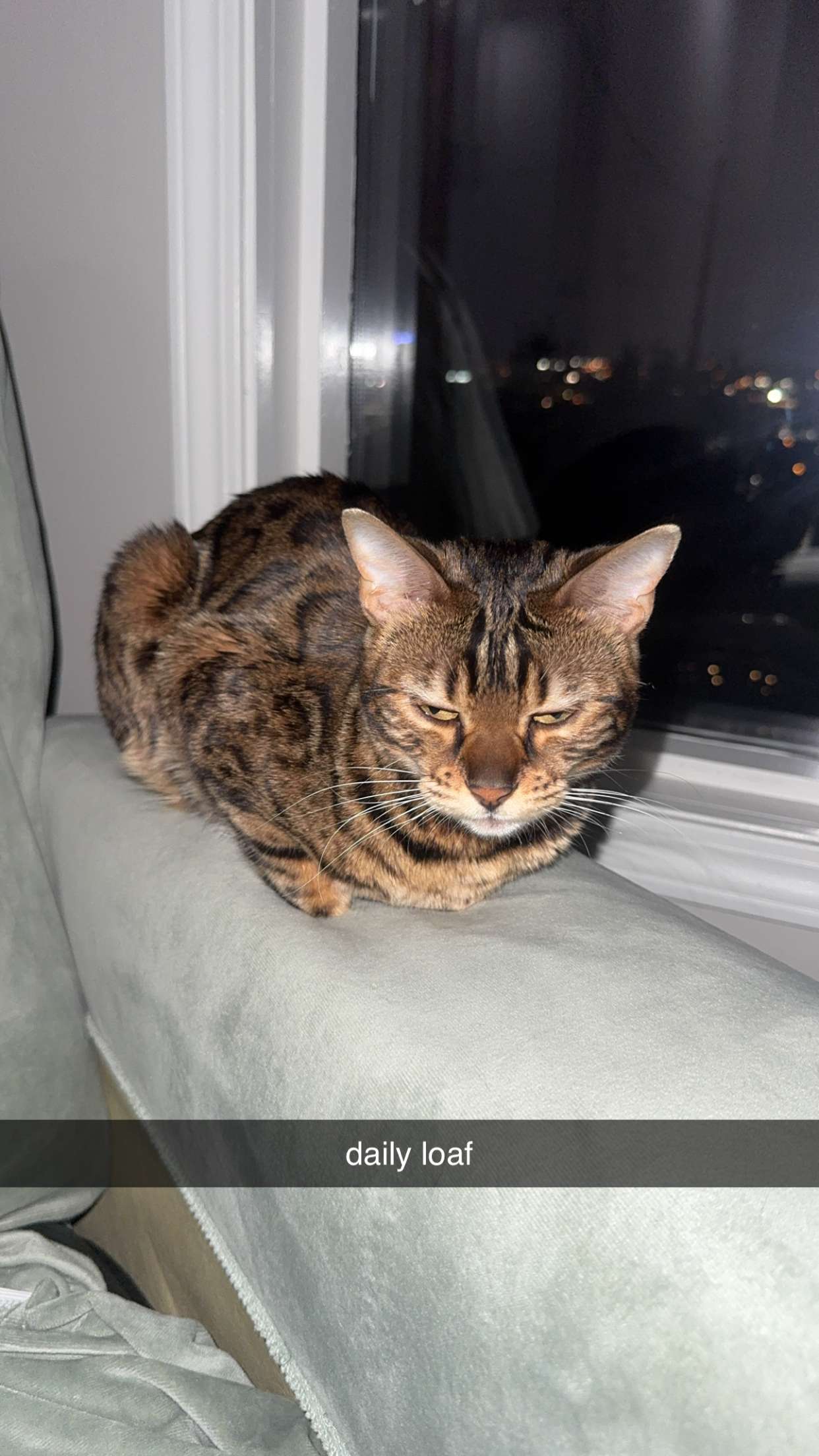 ameliabfit snapchat image archive image