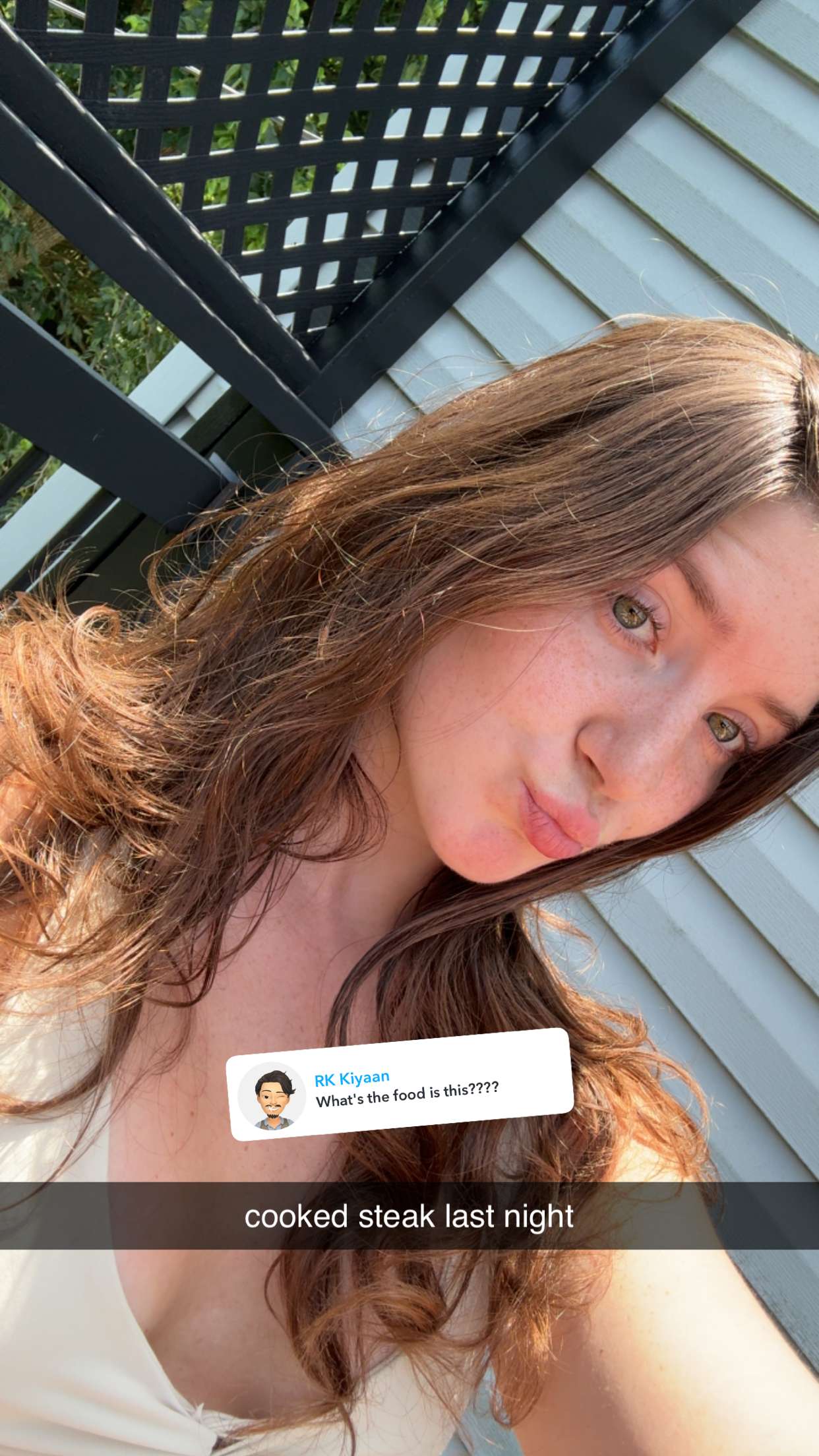 ameliabfit snapchat image archive image