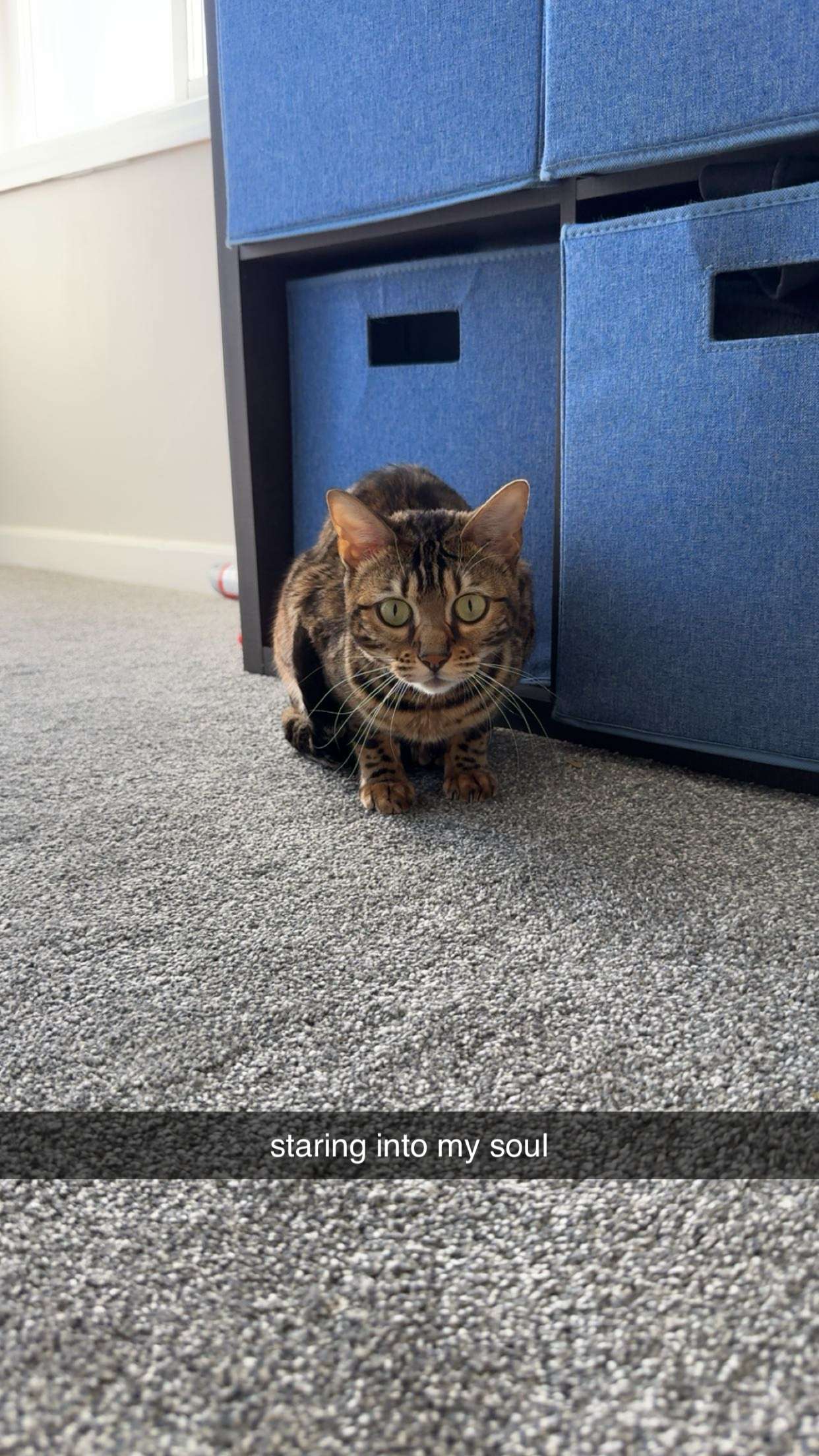 ameliabfit snapchat image archive image