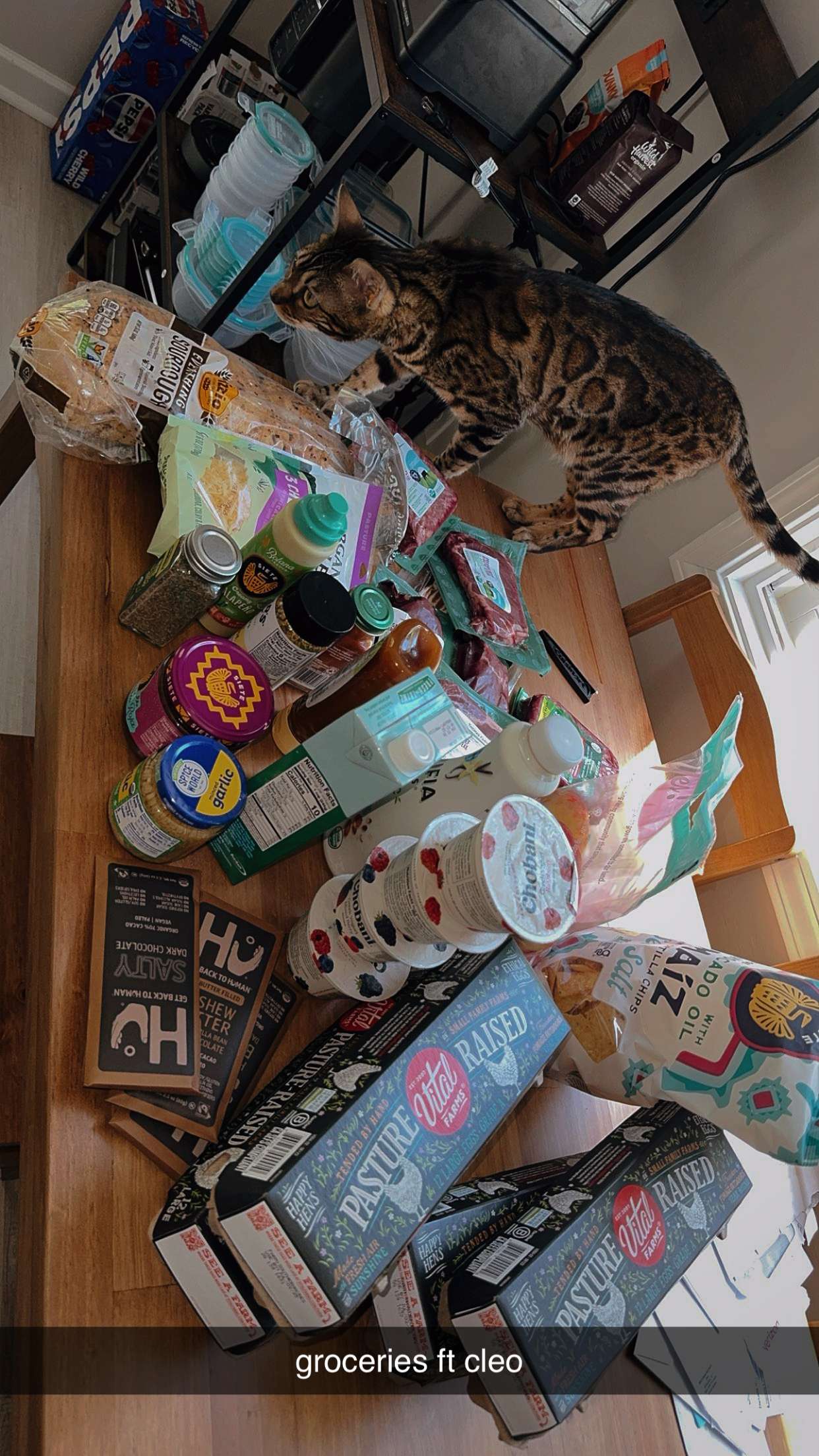 ameliabfit snapchat image archive image