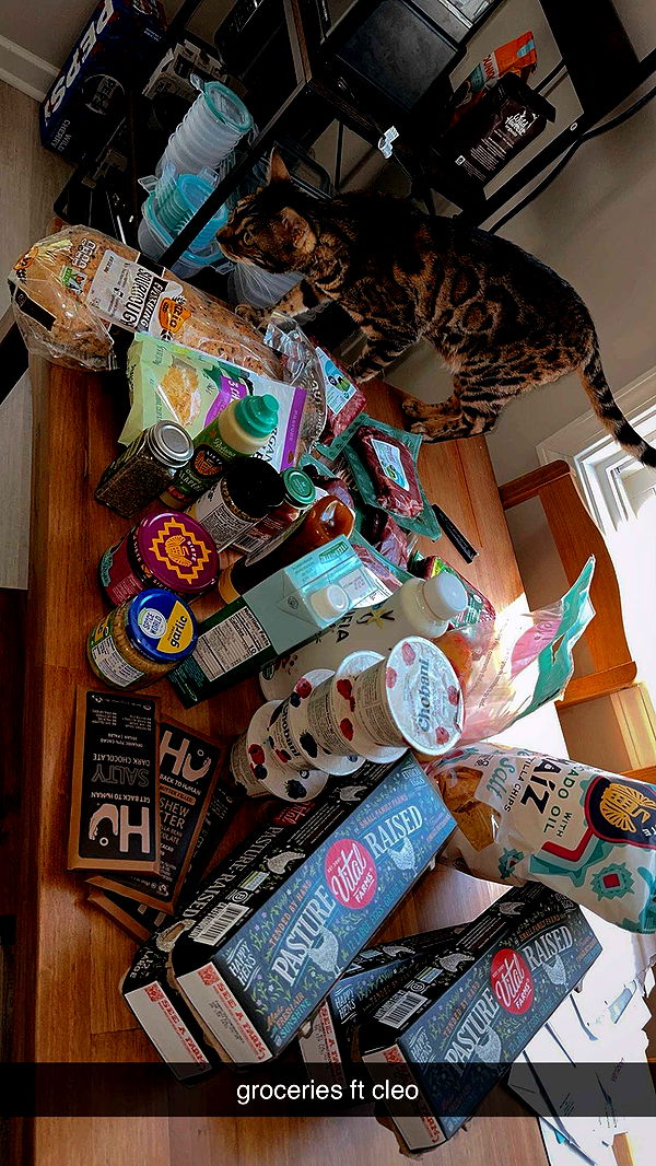 ameliabfit image ~ Altpins