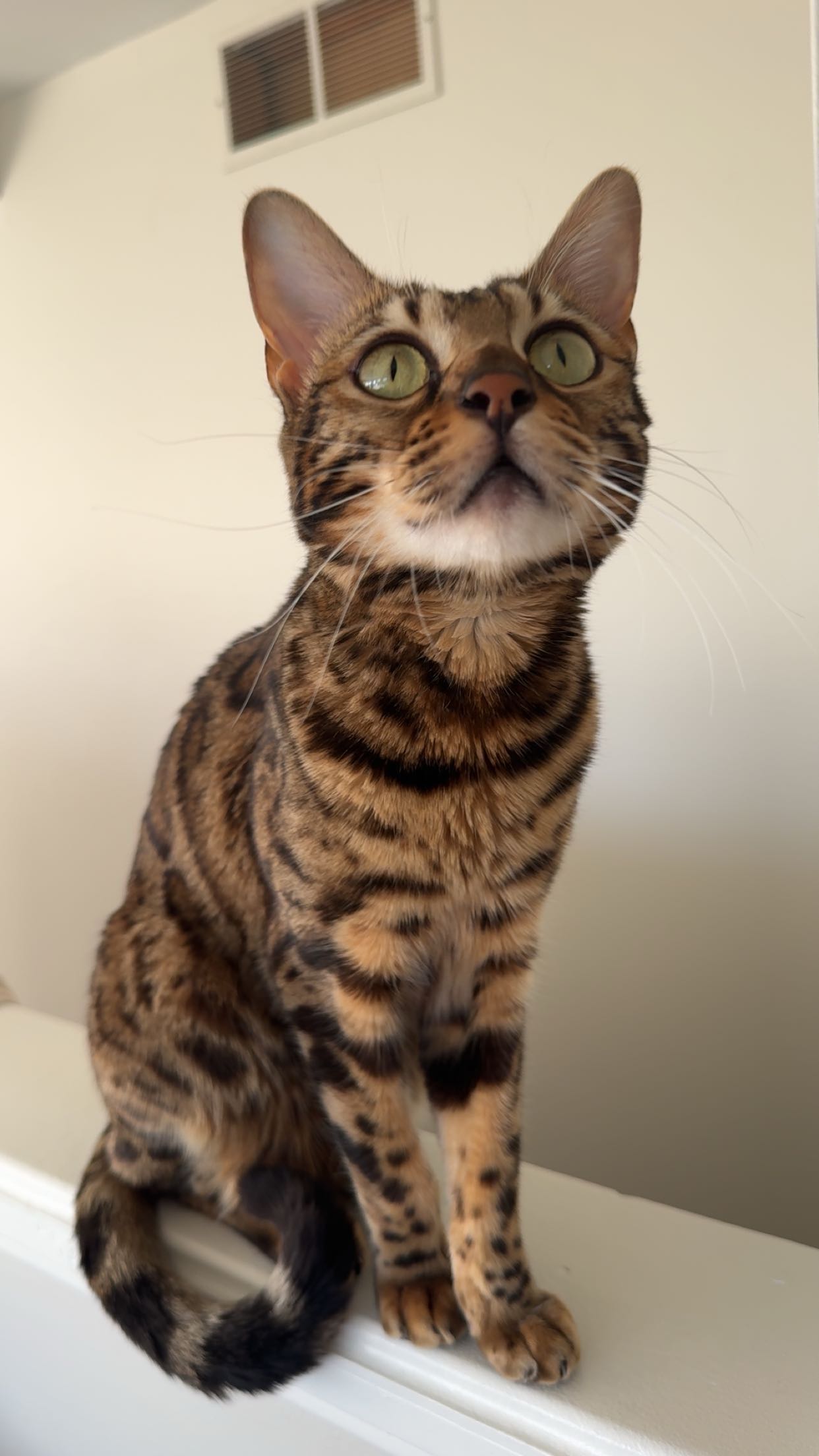 ameliabfit snapchat image archive image