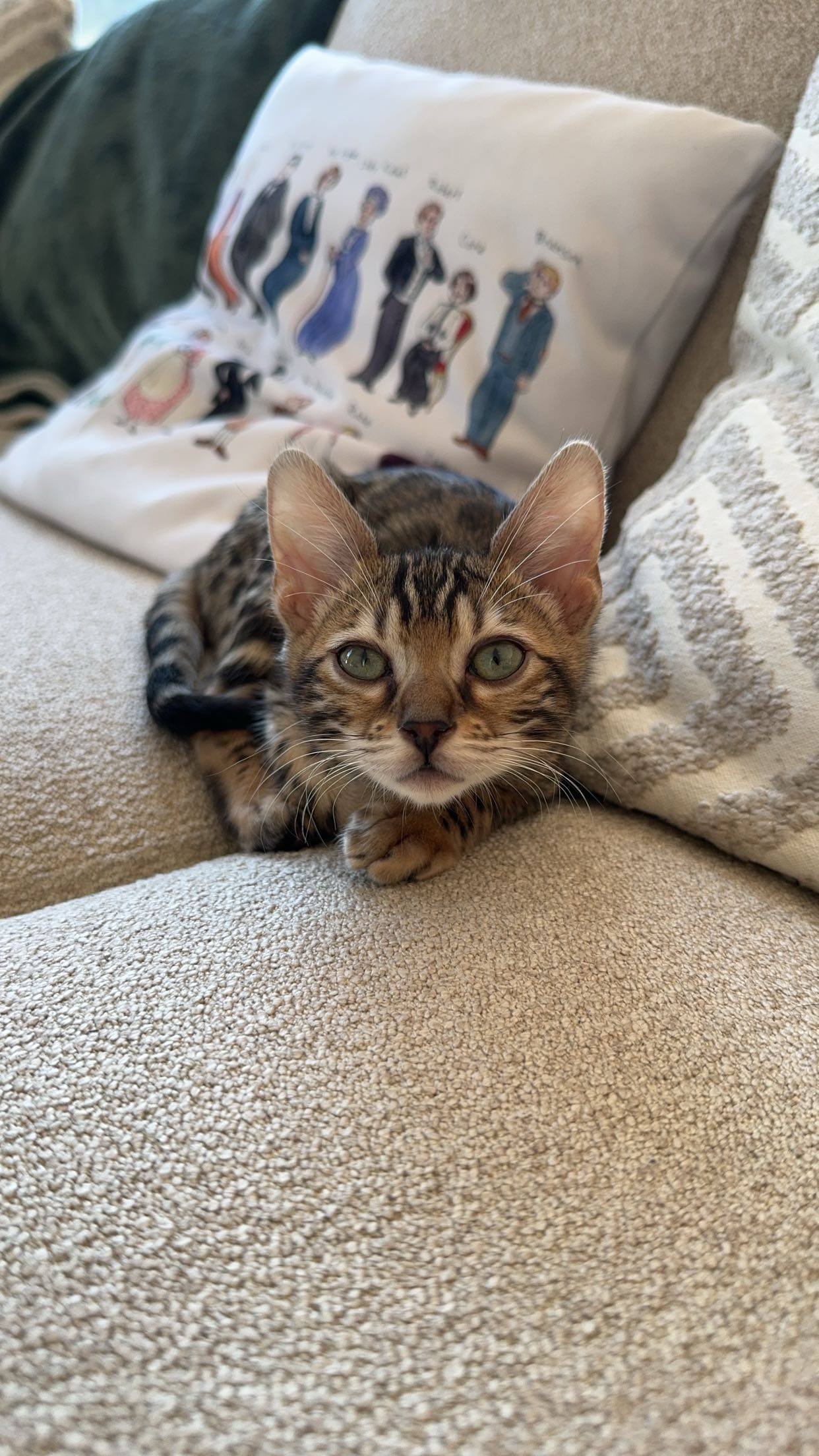 ameliabfit snapchat image archive image