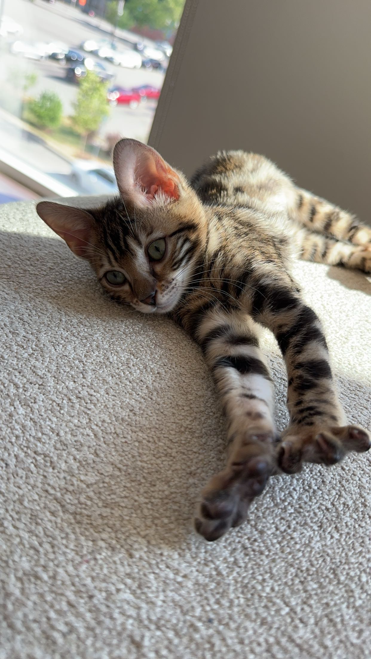 ameliabfit snapchat image archive image