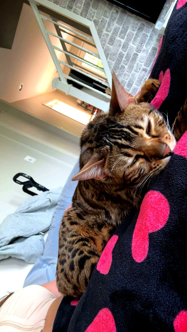 ameliabfit image ~ Altpins