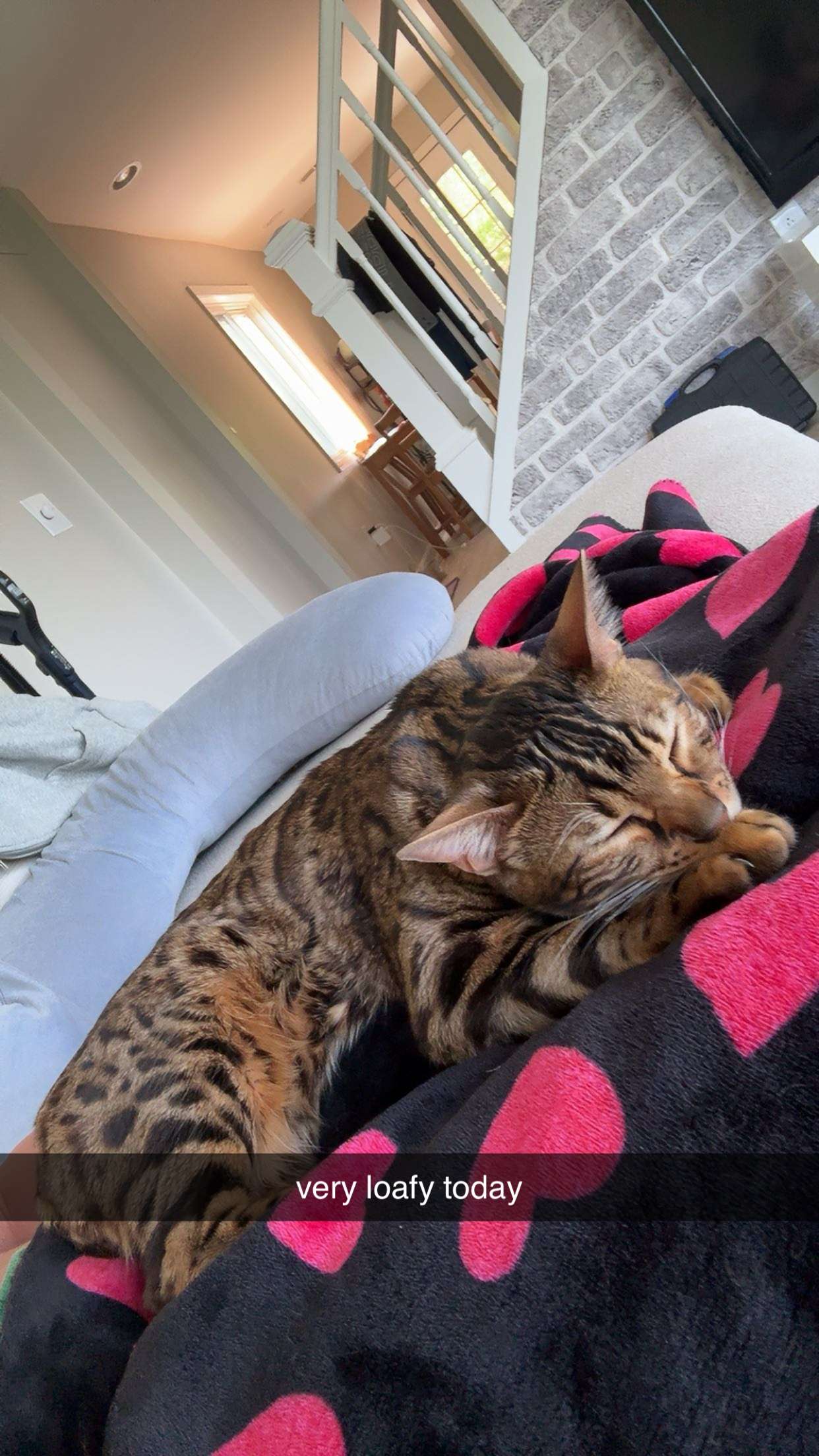 ameliabfit snapchat image archive image