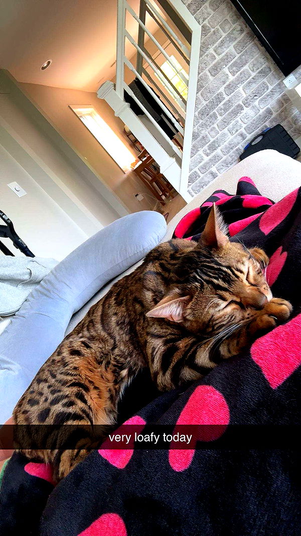 ameliabfit image ~ Altpins