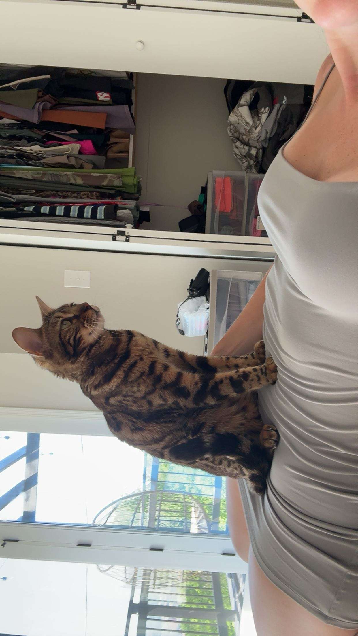 ameliabfit snapchat image archive image