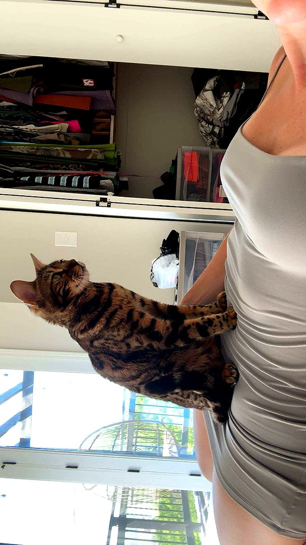 ameliabfit image ~ Altpins