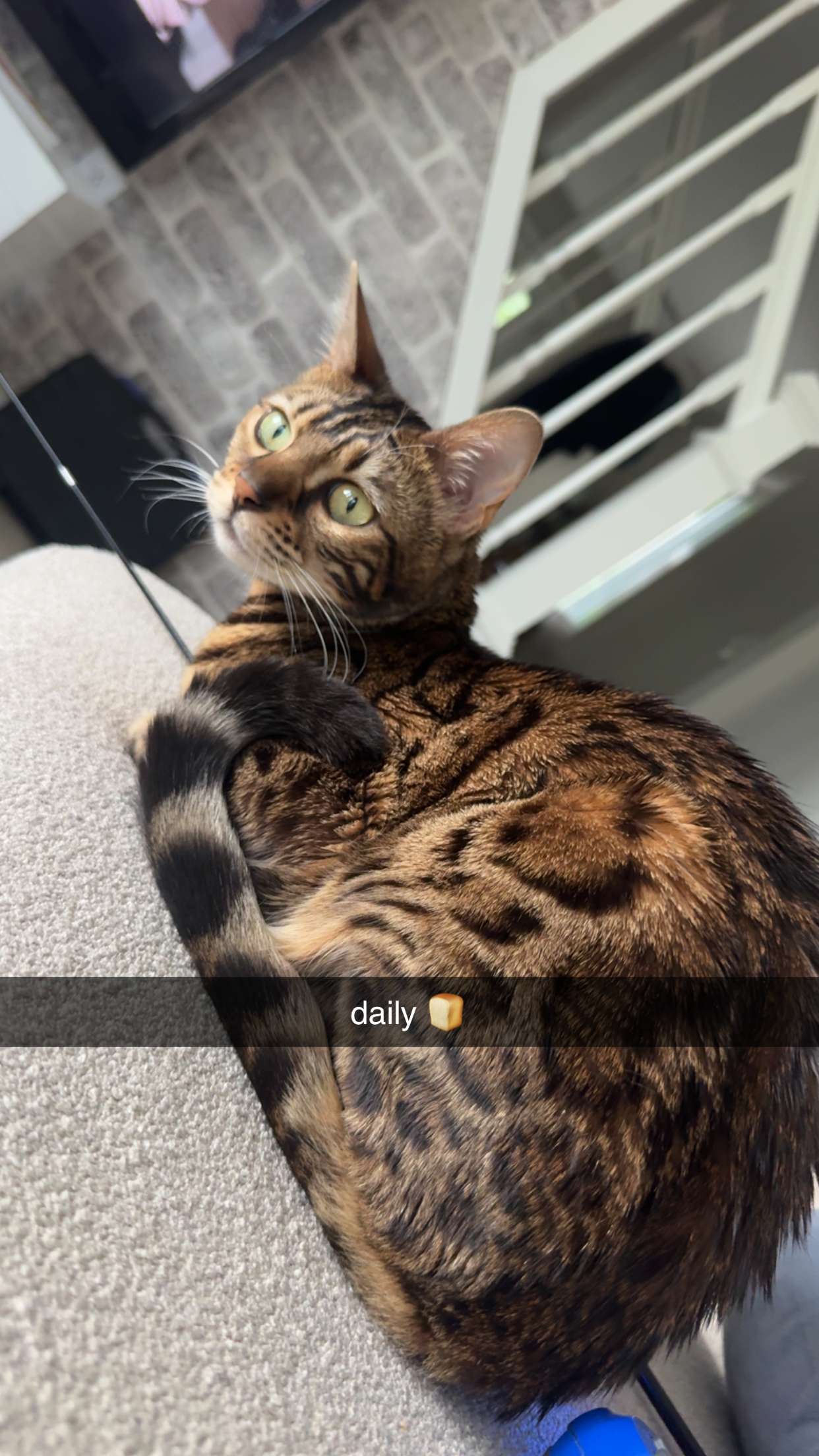 ameliabfit snapchat image archive image