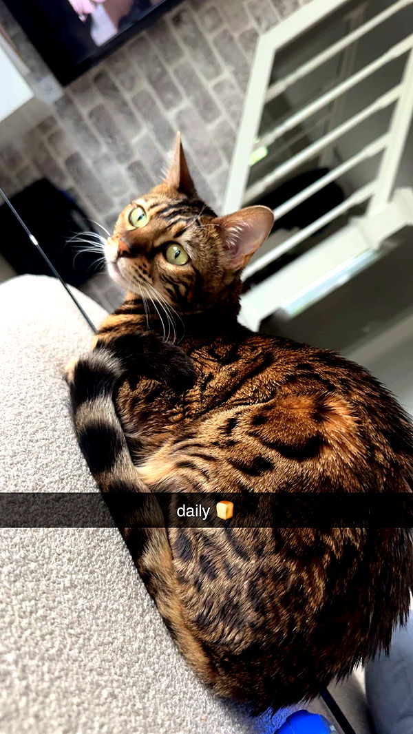 ameliabfit image ~ Altpins