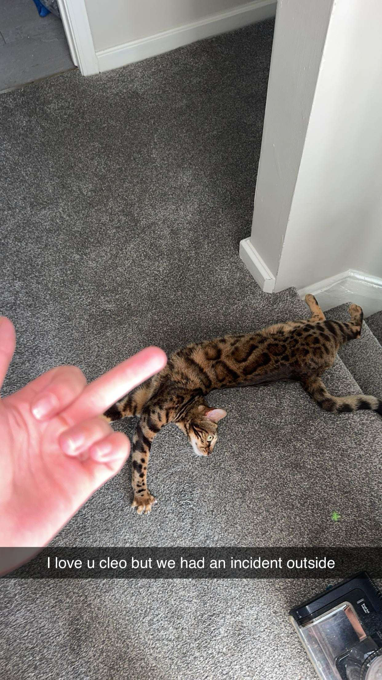 ameliabfit snapchat image archive image