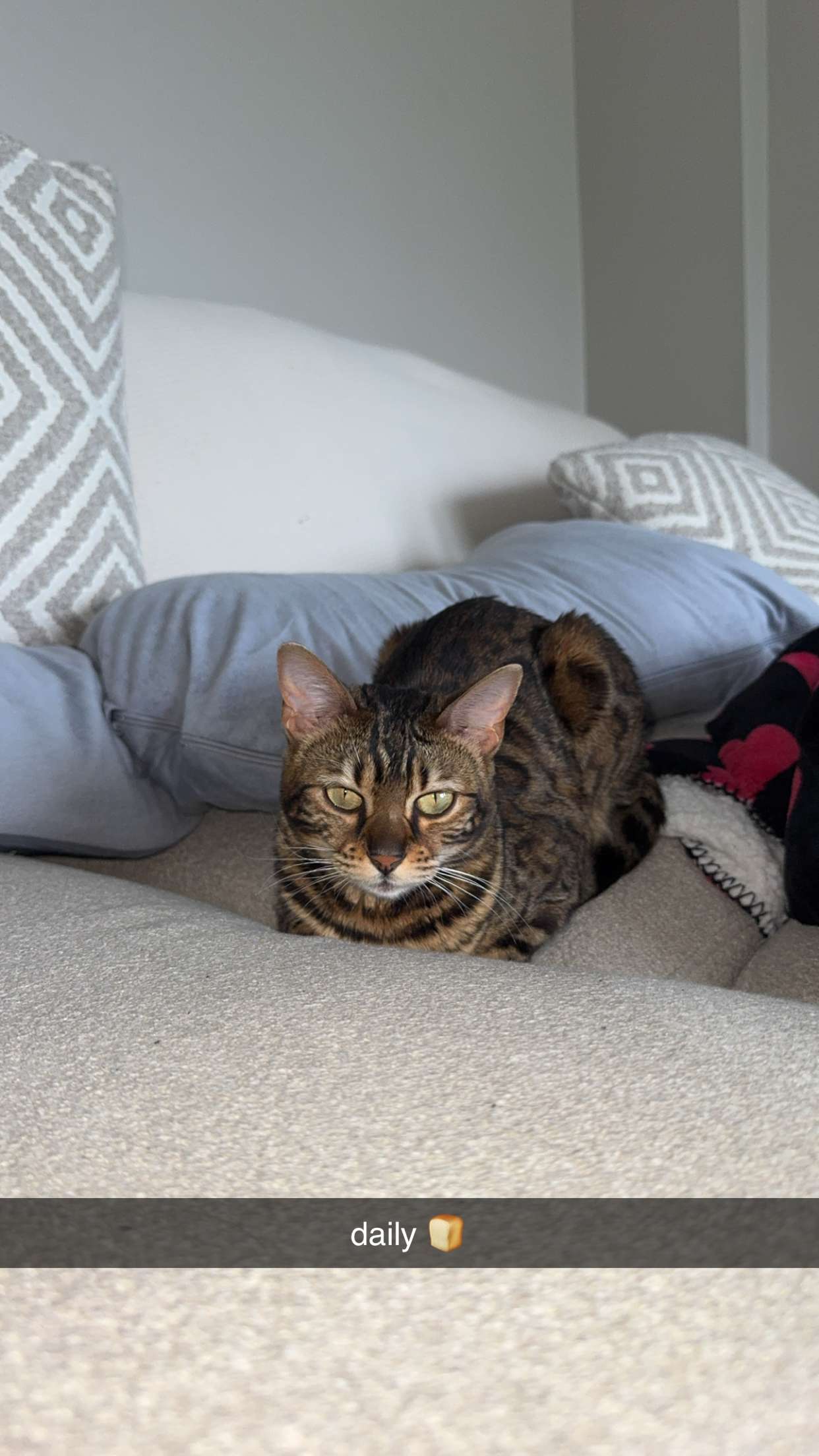 ameliabfit snapchat image archive image