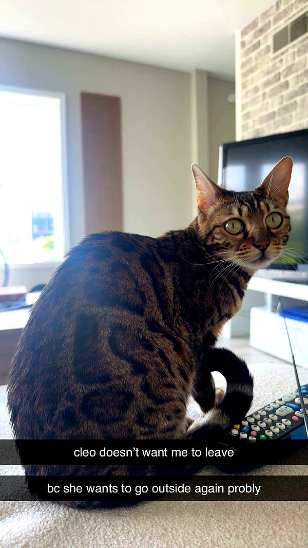 ameliabfit image ~ Altpins