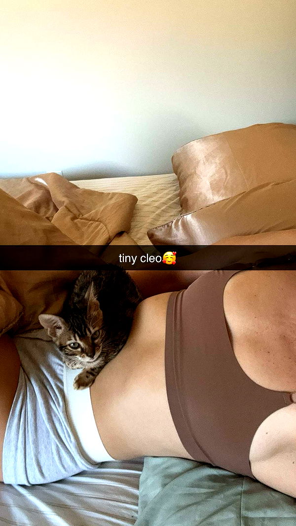 ameliabfit image ~ Altpins