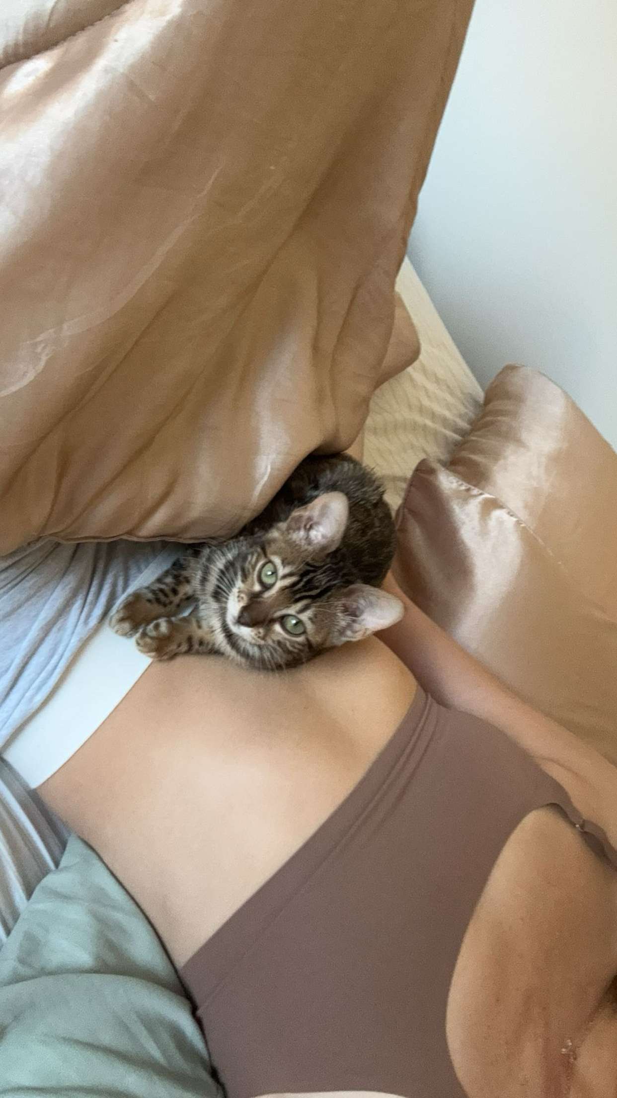 ameliabfit snapchat image archive image