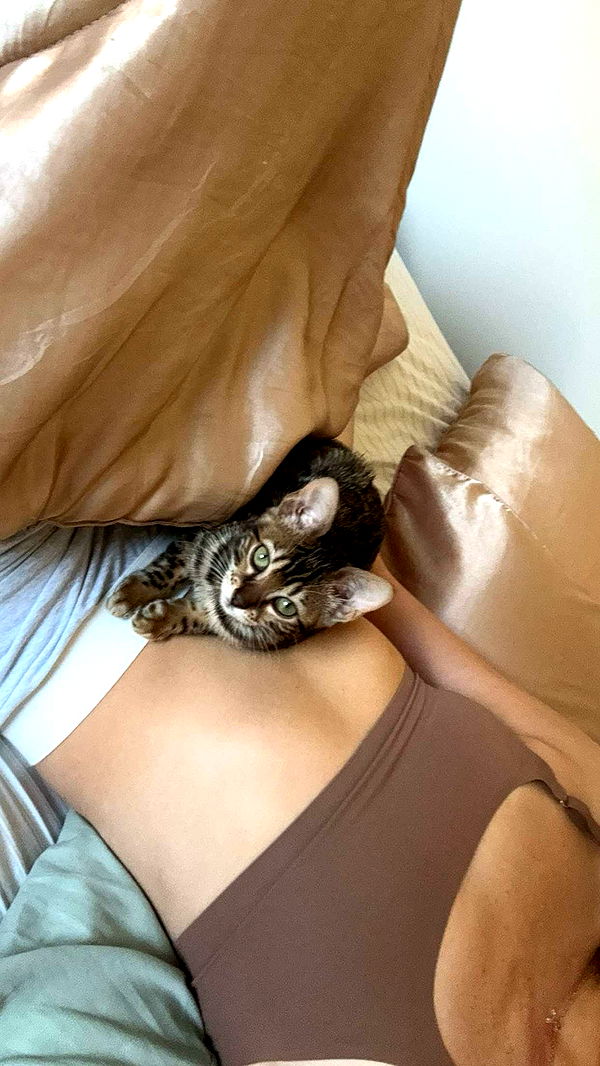 ameliabfit image ~ Altpins