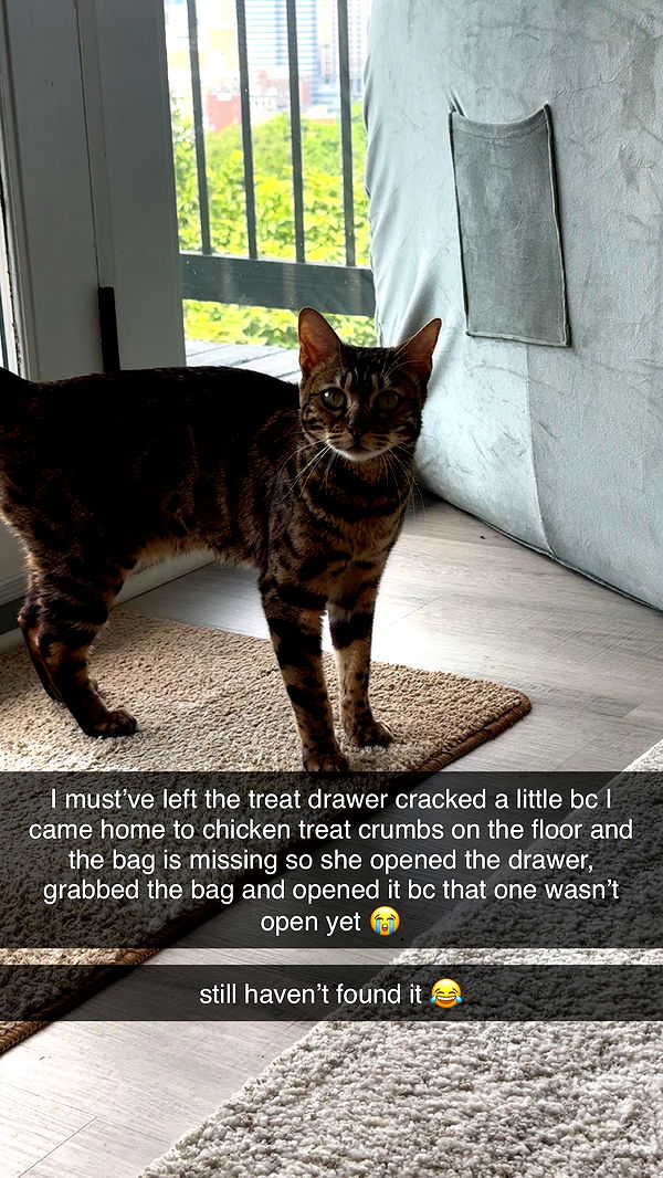 ameliabfit image ~ Altpins