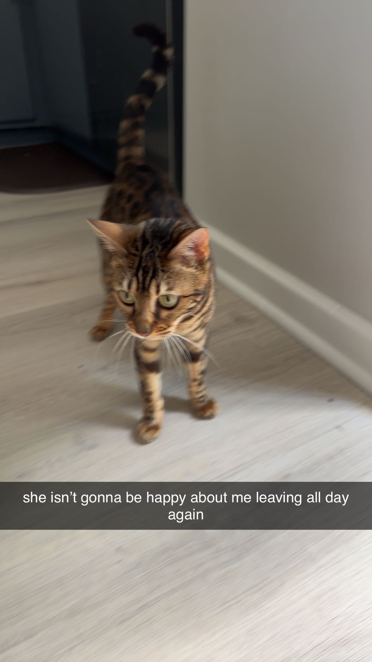 ameliabfit snapchat image archive image