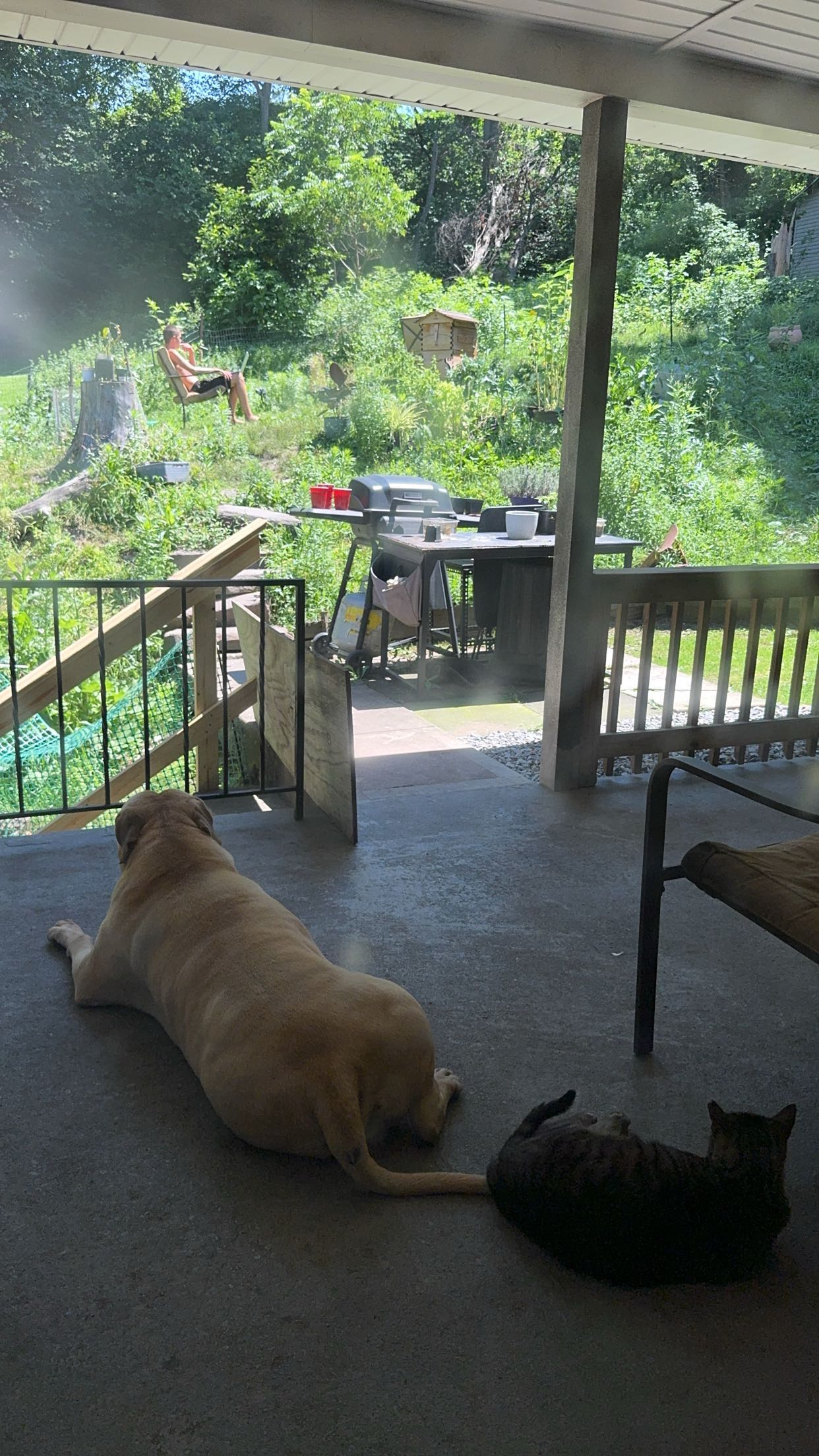 ameliabfit snapchat image archive image