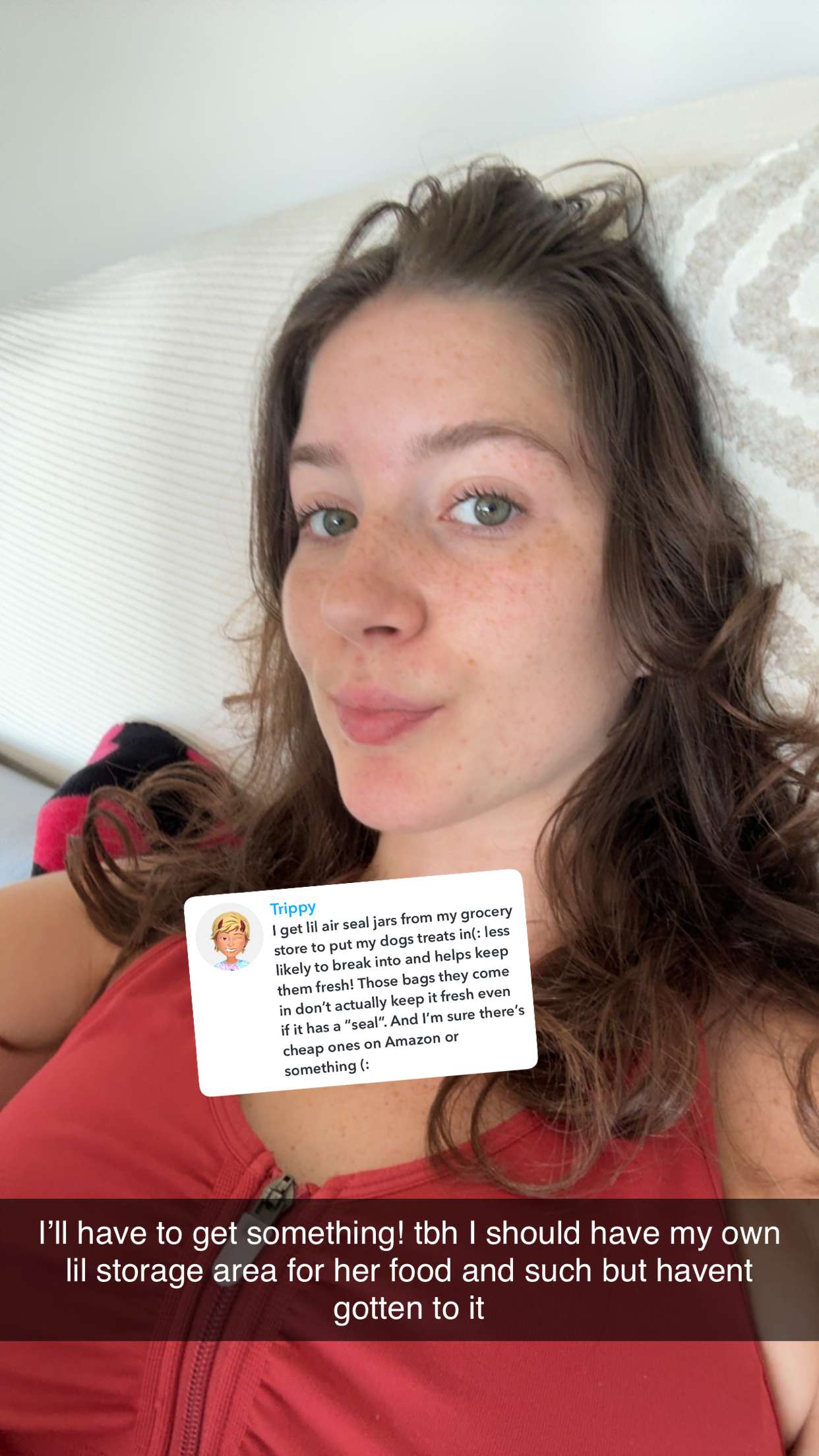 ameliabfit snapchat image archive image