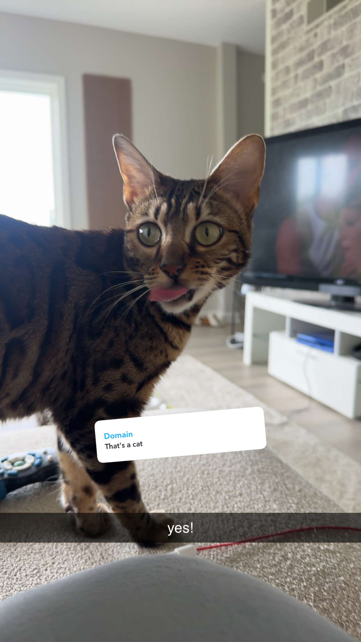 ameliabfit snapchat image archive image