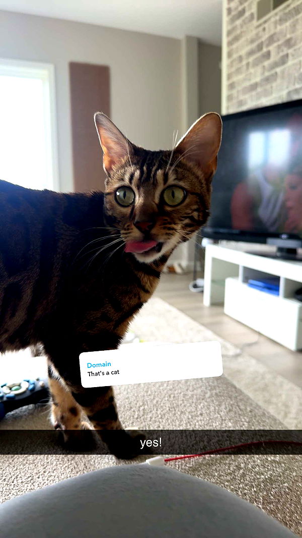 ameliabfit image ~ Altpins